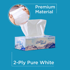 Soft N Cool Facial Tissue 150 Sheets X 2 Ply Wholesale Offer Pack 36 Boxes