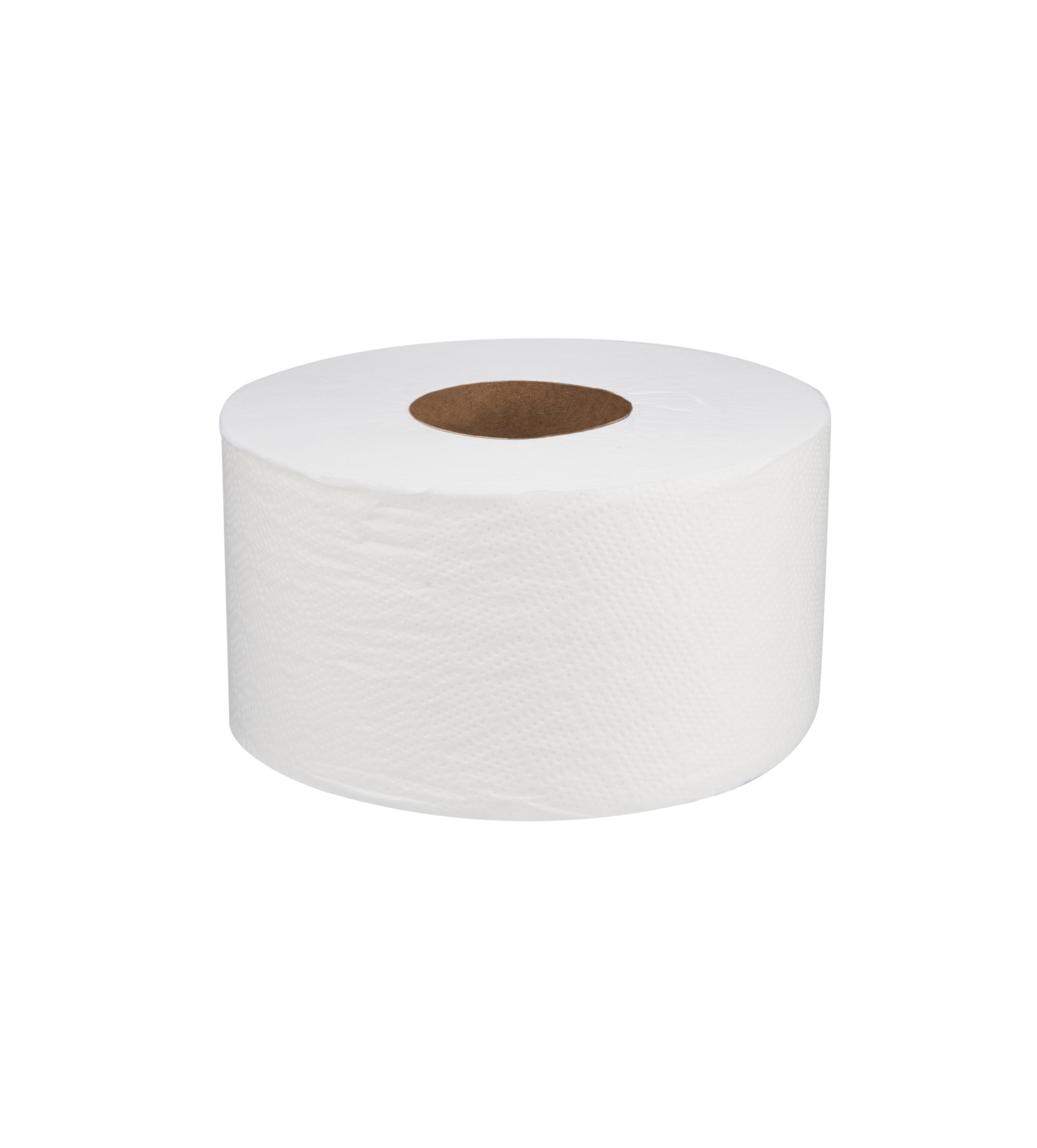 100 Rolls Soft n Cool Toilet Tissues Rolls 2 Ply 100 Sheets