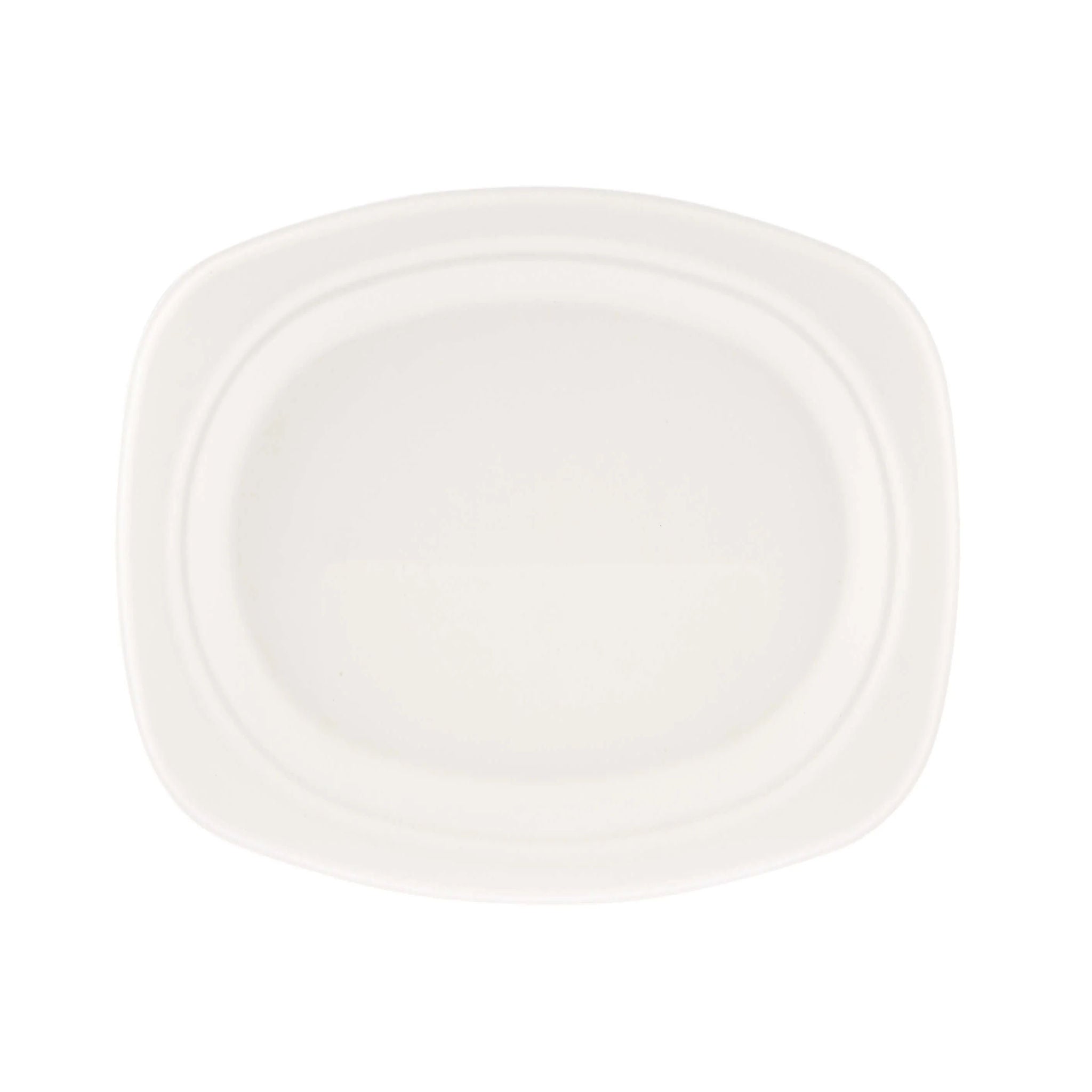 9X6.5 Inch Bio-Degradable Oval Plate 