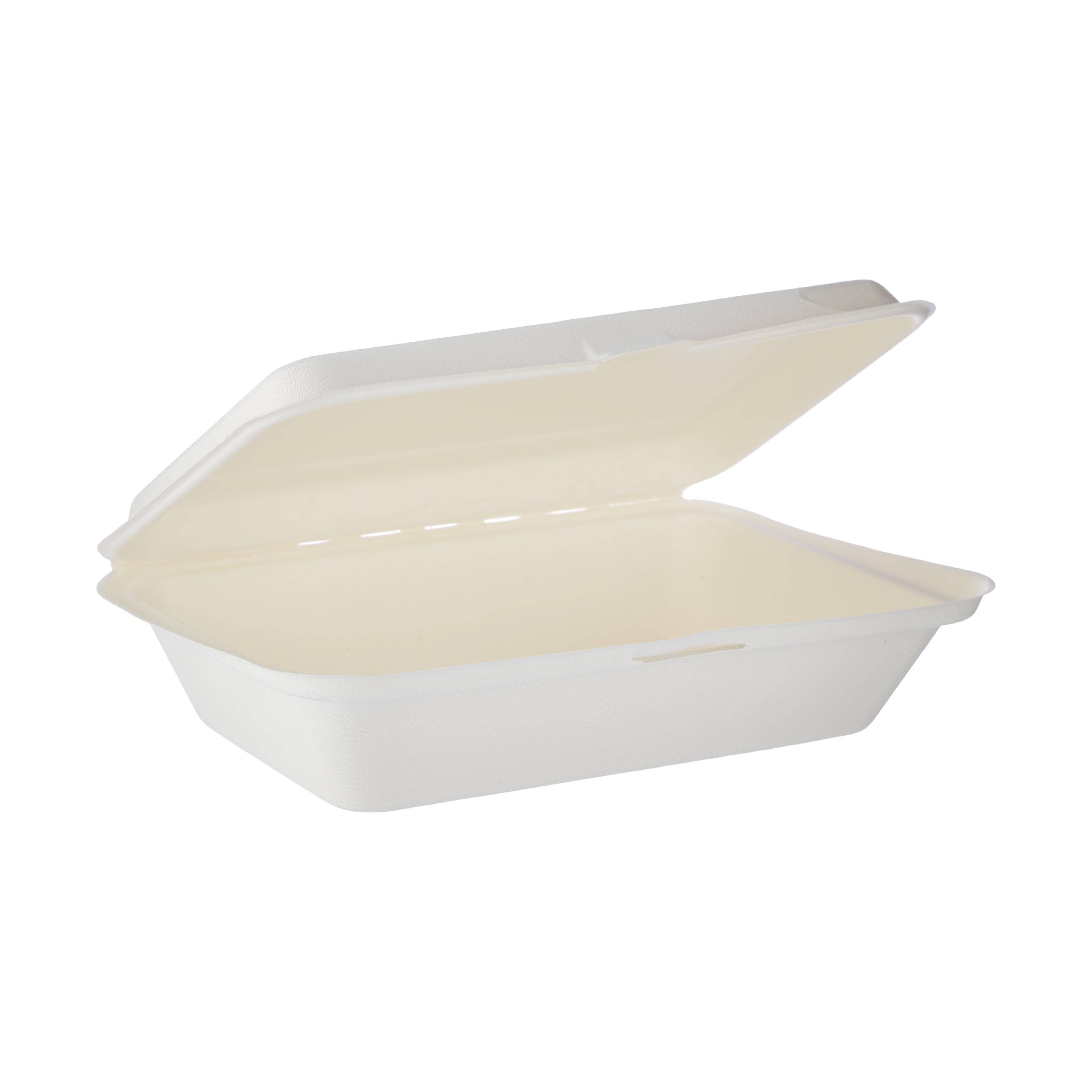 9X6 Inch Bio-Degradable Hinged Container 