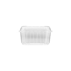 Clear PET Punnet Veg & Fruits Container - Hotpack Oman