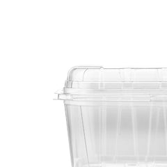 Clear PET Punnet Veg & Fruits Container - Hotpack Oman