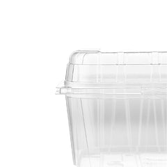 Clear PET Punnet Veg & Fruits Container - Hotpack Oman