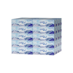 Soft N Cool Facial Tissue 2 Ply